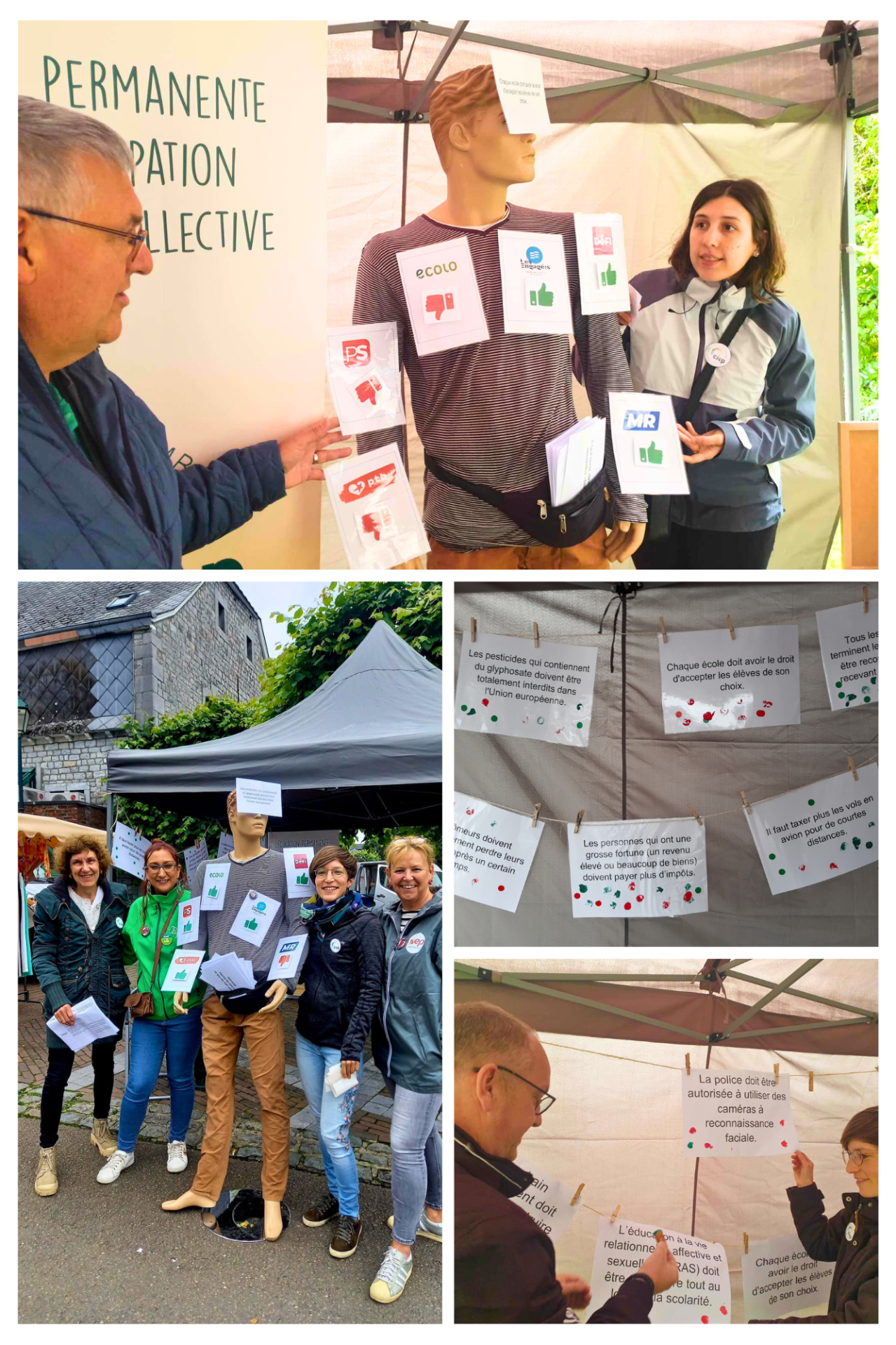 Pink violet wild flowers photo collage